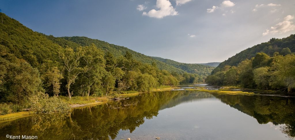 No Commercial Logging In Any West Virginia State Park