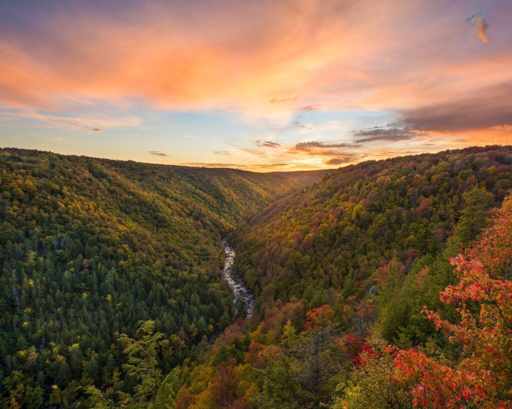 Protect Our State Parks and Forests from Casinos, Racetracks, Amusement ...