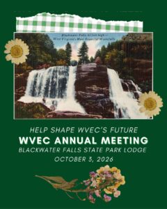 A deep green background with a vintage postcard with Blackwater Falls is flanked by daisies. Below the postcard it says: "Help Shape WVEC's Future" "WVEC Annual Meeting" "Blackwater Falls State Park on October 3, 2026"